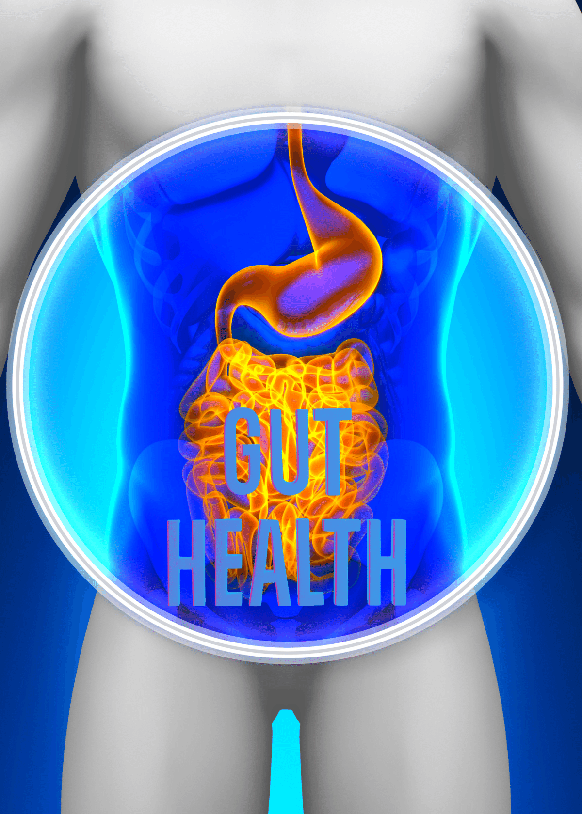 The Gut Health Book Everyone is Talking About: Best Review