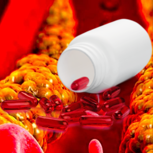 Berberine Plus: The Supplement You Didn’t Know You Needed (Until Now)
